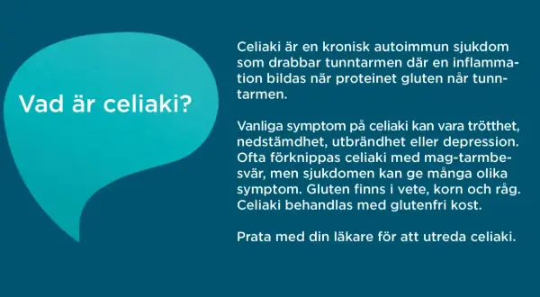 Text om celiaki symtom vuxen. Beskriver sjukdomen, vanliga symptom som trötthet och nedstämdhet, samt glutenfri kost som behandling.