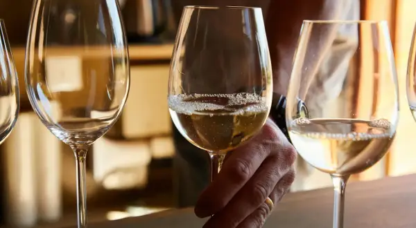 Trzy kieliszki z jasnym winem, jedno z nich trzyma dłoń z obrączką. Degustacja bordeaux wina.