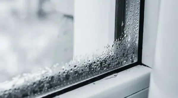 Krople wody na szybie okiennej, które pokazują, dlaczego parują szyby w domu.