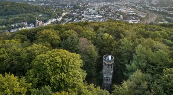 Der von der Heydt Turm ragt aus einem dichten grünen Wald hervor, mit einer Stadt im Hintergrund.