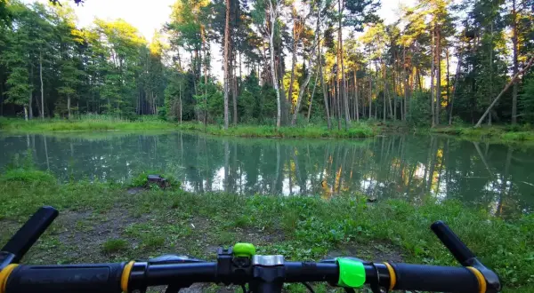 Rowerowy wypad do puszczy dulowskiej. Spokojna tafla wody odbija wysokie drzewa.