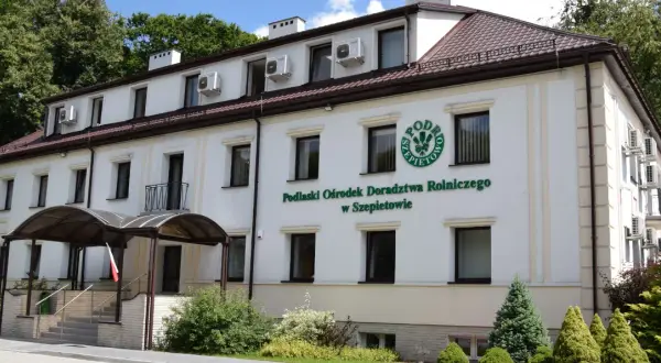 Peluszka ile siać na hektar – uniknij błędów w uprawie