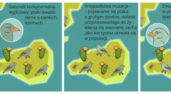 Izolacja geograficzna – jak wpływa na ewolucję i różnorodność gatunków
