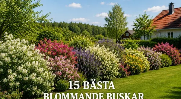 En vacker trädgård med en rad av blommande buskar i olika färger, från vitt och rosa till lila och gult.