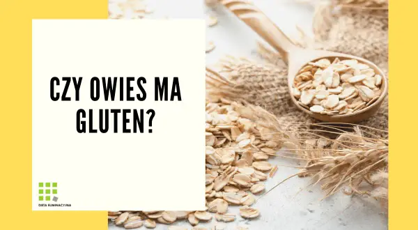 Płatki owsiane na łyżce i kłosy zbóż. Czy owies ma gluten? Pytanie o zawartość glutenu w owsie.