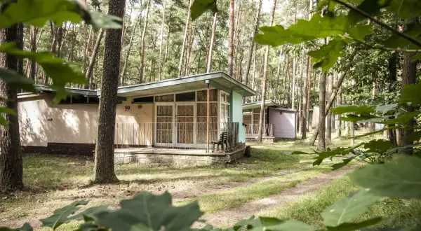 Dawne ośrodki wczasowe w lesie, z małymi domkami i ścieżkami.
