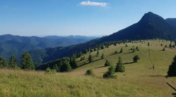 Gorce szczyty w słońcu, zielone zbocza i samotny turysta na ścieżce.