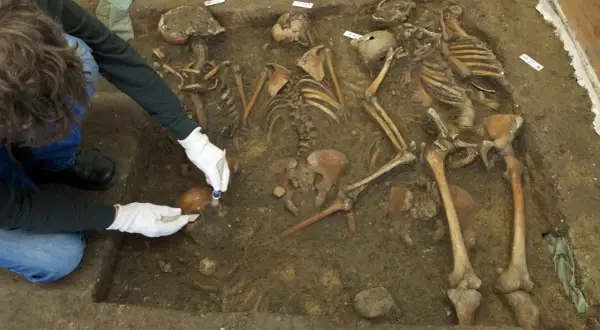 Archäologen untersuchen Skelette, die mit der C14-Methode datiert werden.