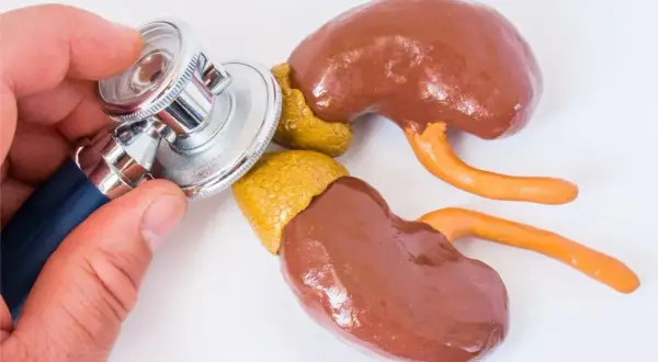Dłoń z stetoskopem bada model nerek z nadnerczami, sugerując diagnostykę guza chromochłonnego.