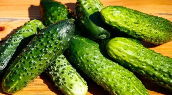 Sezon na ogórki gruntowe: Kiedy kupować na przetwory?