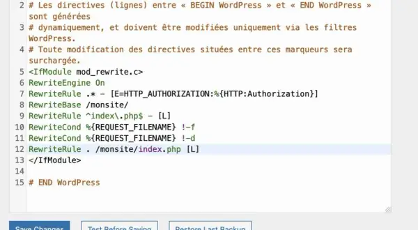 Extrait de fichier .htaccess montrant des directives `RewriteCond` pour la réécriture d'URL WordPress.