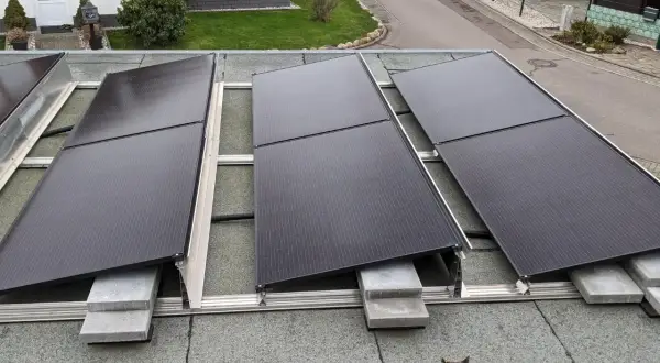 Solarmodule auf einem Dach mit Dachpappe. Der Wandanschluss ist nicht sichtbar, aber die Montage auf Betonsteinen ist zu erkennen. Eine Katze schaut neugierig hervor.
