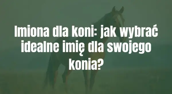 Imiona dla koni: jak wybrać idealne imię dla swojego konia? Biały tekst na tle konia.