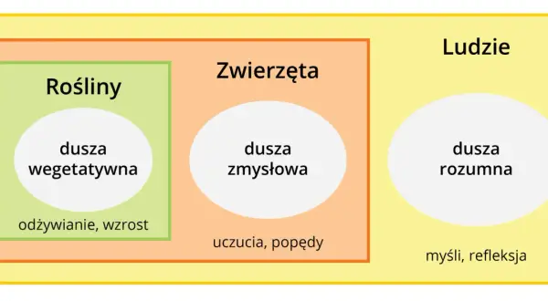 Schemat przedstawia różne rodzaje dusz: roślinną, zmysłową i rozumną. Czy człowiek ma duszę? Tak, rozumną.