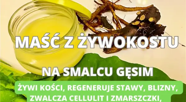 Jak zrobić maść z żywokostu na smalcu - łatwy przepis na zdrowie