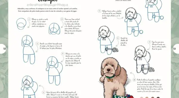 Dibujos de perros: tutorial paso a paso para dibujar un cockapoo. ¡Un compañero adorable y juguetón!