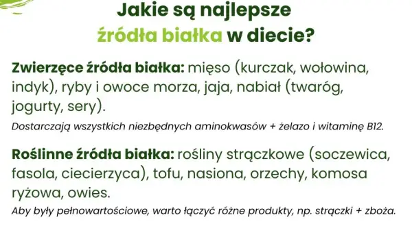 Białko roślinne: co zawiera i jak jeść mądrze? Pełny przewodnik