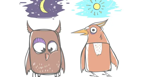 Sowa marzy o księżycu, ptak o słońcu. Ilustracja pokazuje różnice w chronotypie snu.