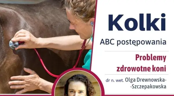 Objawy kolki u konia: jak je rozpoznać i uniknąć poważnych problemów