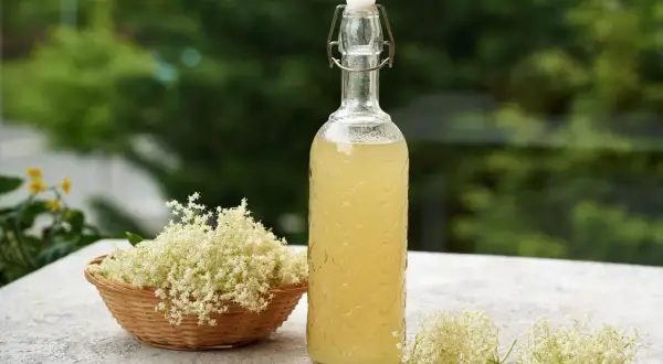 Kwiat bzu czarnego syrop w butelce z korkiem i koszyku pełnym kwiatów.