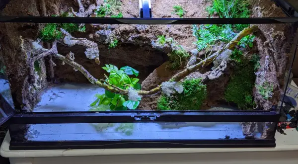 Najlepszy silikon do terrarium - bezpieczne opcje dla zwierząt i roślin