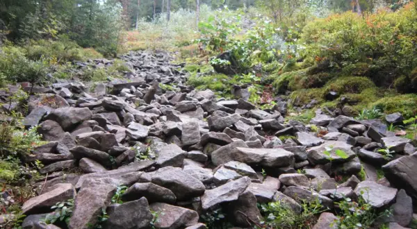 Kamieniste zbocze w rezerwat gołoborze, porośnięte mchem i niską roślinnością. Kamienie tworzą naturalną ścieżkę.