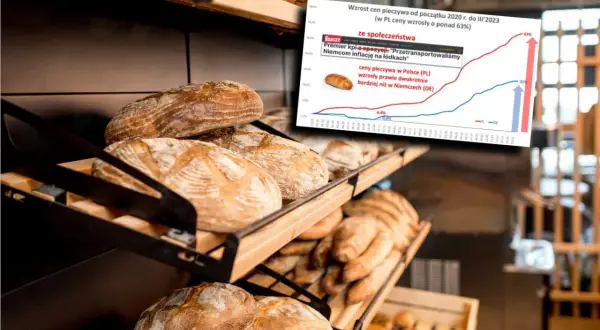 Ile kosztuje chleb w Niemczech? Ceny 2024 i porównanie