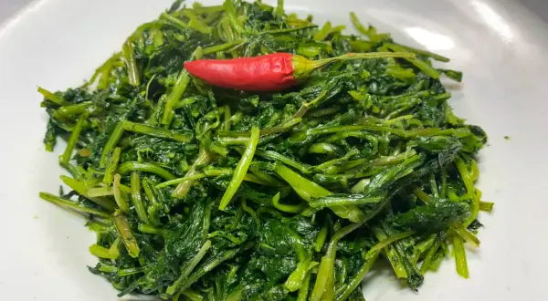Un piatto invitante di cicoria ripassata in padella, con un peperoncino rosso a dare un tocco di colore e piccantezza.
