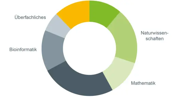 Kreisdiagramm zeigt Module eines bioinformatik studium: Wahlpflicht, Softwaretechnik, Naturwissenschaften, Mathematik, IT-Programmieren, Bioinformatik, Überfachliches.