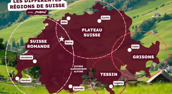 Carte des régions suisses : Suisse romande, Plateau suisse, Grisons, Tessin. Un guide suisse pour découvrir le pays.