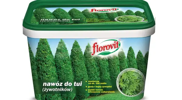 Nawóz do tui na szybki wzrost. Opakowanie z wizerunkiem żywopłotu z tui, zapewniające gęsty i bujny żywopłot.