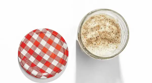 En bubblig surdeg i ett glasburk, bredvid ett rött och vitt rutigt lock. Så här ska en surdeg se ut när den är aktiv och redo att bakas med.