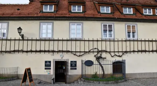Maribor: Gdzie zjeść? Przewodnik po smakach Styrii i winie