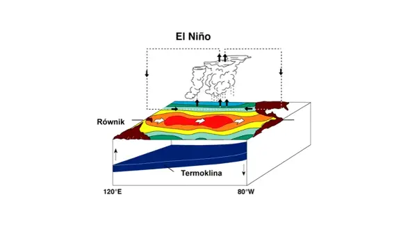 El Niño: schematyczne przedstawienie zjawiska, pokazujące ciepłe wody na równiku i chmury burzowe.