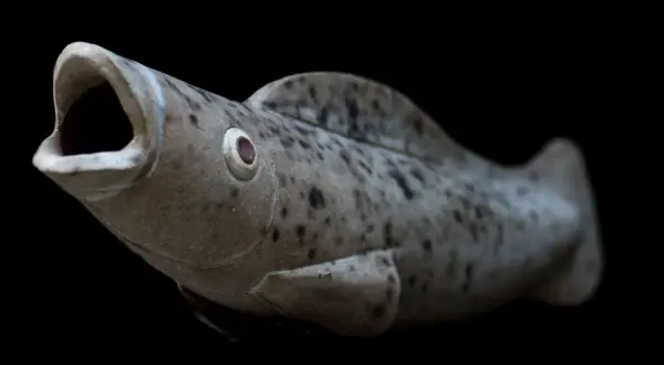 Pesce in ceramica con bocca aperta, occhio sporgente e macchie scure, un'opera che ricorda lo stile di Tonino Negri.