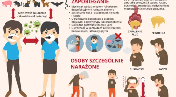 Grafika o pandemii koronawirusa: zapobieganie, objawy, grupy ryzyka. Ilustracje pokazują higienę, dystans, zwierzęta, objawy jak kaszel, gorączka.