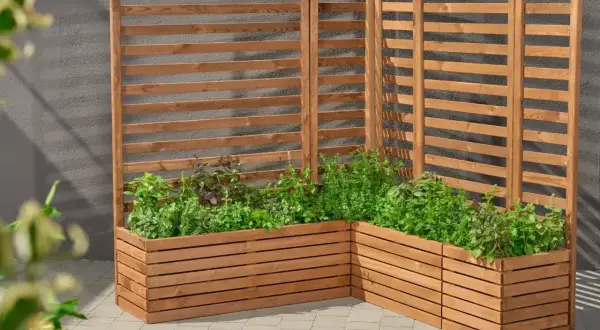 Drewniana pergola z listewek, idealna do stworzenia zielonej ściany z ziołami. Prosty sposób, jak zrobić pergolę z listewek.
