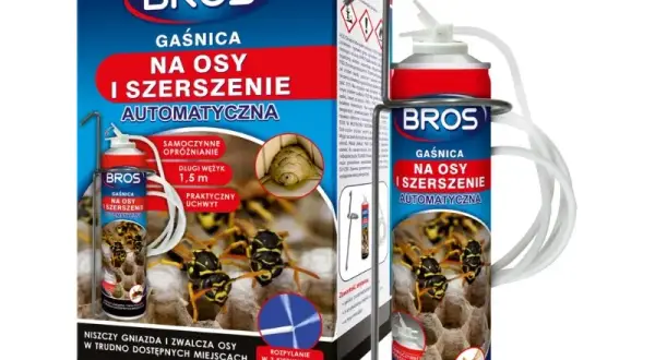 Gdzie kupić gaśnicę na osy? Skuteczne rozwiązania na szkodniki