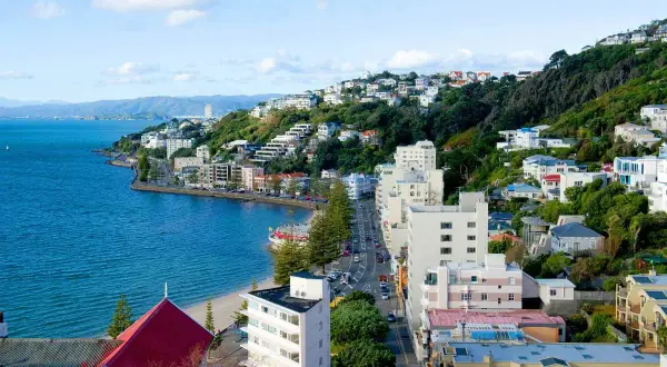 Vista de Wellington, Nueva Zelanda, con casas en la colina y el mar. ¡Un lugar ideal para tu working holiday!