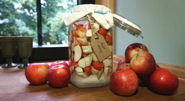 Ein Glas mit Apfelstücken und der Aufschrift "Apfel-essig" steht neben frischen Äpfeln. Manche glauben, Apfelessig hilft gegen Cholesterin.