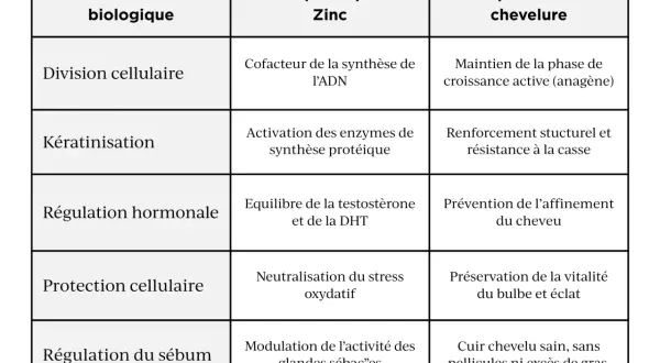 Tableau détaillant le rôle du zinc dans la santé des cheveux : division cellulaire, kératinisation, régulation hormonale, protection cellulaire et sébum.