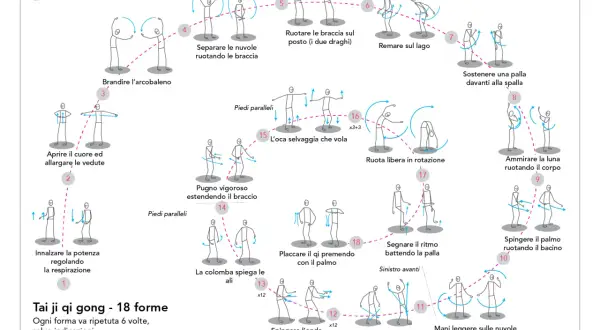 Tai ji qi gong - 18 formes : découvrez les 18 mouvements pour les bienfaits du qi gong, de l'arc-en-ciel à l'observation du ciel.