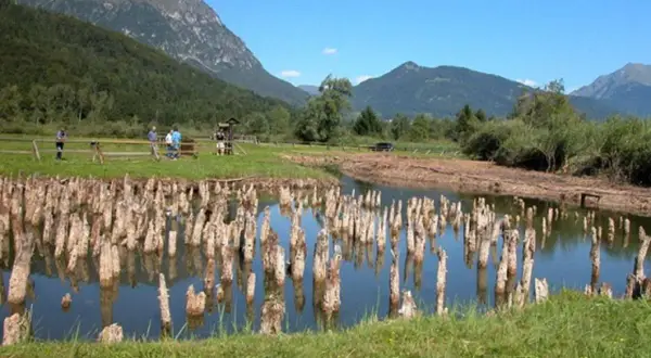 Antiche palafitte bardolino emergono da uno specchio d'acqua, con montagne verdi sullo sfondo.