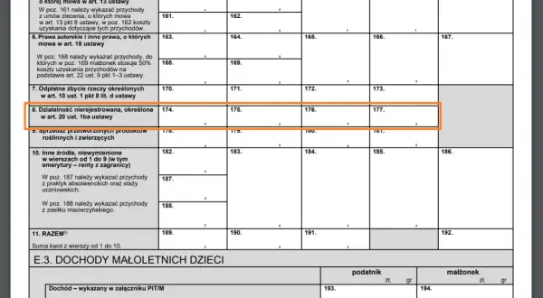 8. Działalność nierejestrowana, określona w art. 20 ust. 1ba ustawy. Wpisz tu dochody z takiej działalności.