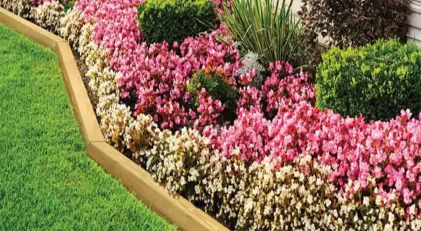 Learn how to install landscape timbers to create a beautiful border for this vibrant flower bed.