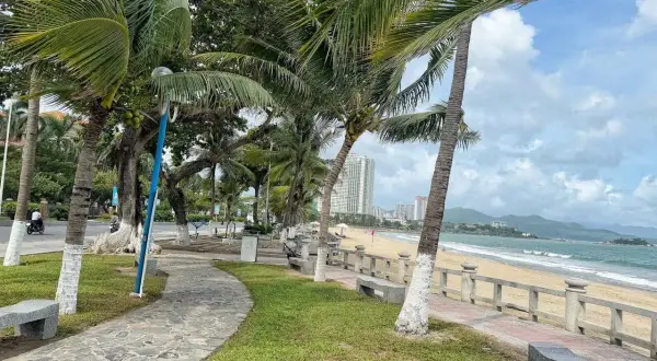 Aleja palmowa w Nha Trang prowadzi do piaszczystej plaży.
