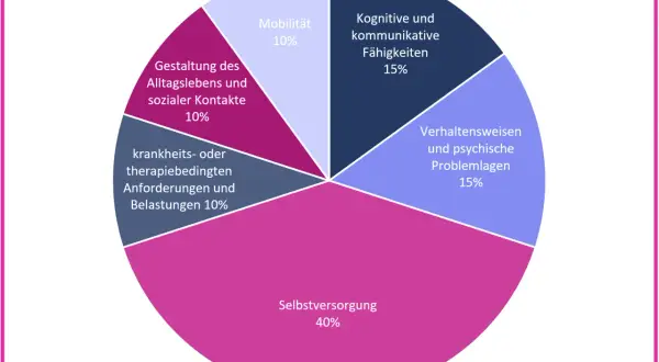 Kreisdiagramm zeigt Pflegegrad-Kriterien: Selbstversorgung (40%), kognitive/kommunikative Fähigkeiten (15%), Verhaltensweisen/psychische Problemlagen (15%), Mobilität (10%), Gestaltung Alltag/Kontakte (10%), krankheitsbedingte Anforderungen (10%). Dies...