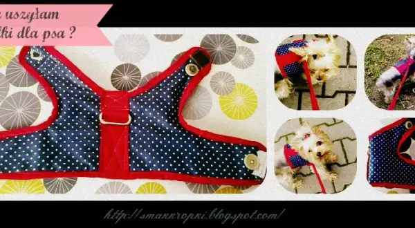 Jak uszyć szelki dla psa? Szybki poradnik DIY krok po kroku