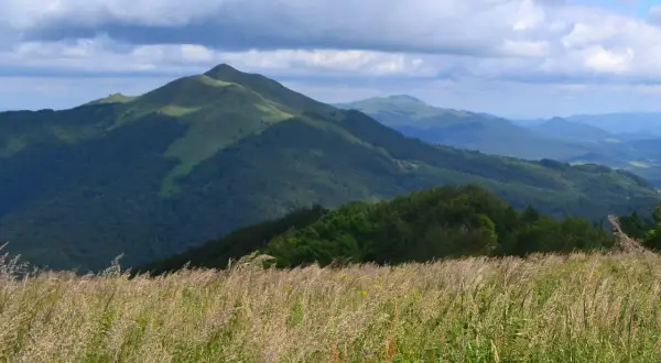 Łąka pełna traw na pierwszym planie, za nią zielone wzgórza i góry, idealne na połonina caryńska trasę.