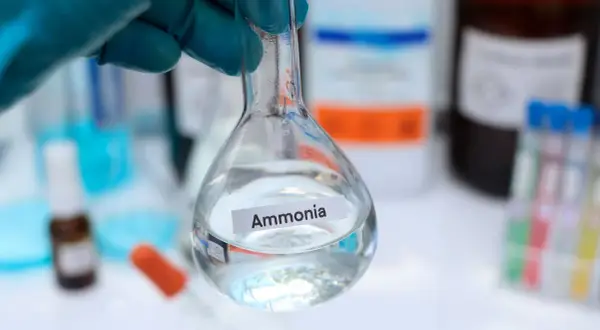 Un guanto blu tiene una beuta con ammoniaca, un composto chimico utile in molti processi industriali e di laboratorio.